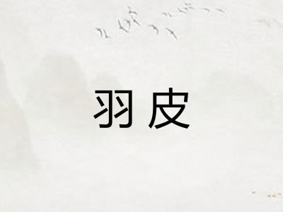 羽皮