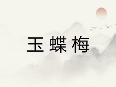 玉蝶梅