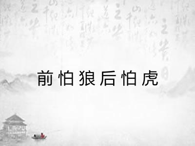 前怕狼后怕虎