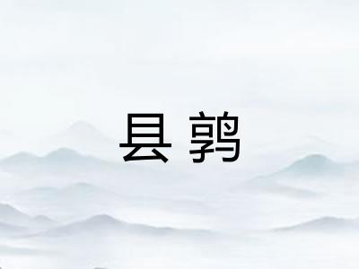 县鹑