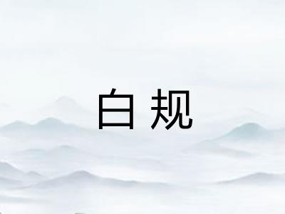 白规