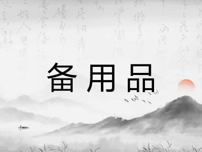 备用品