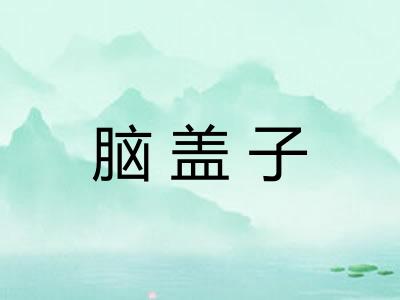 脑盖子