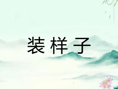装样子