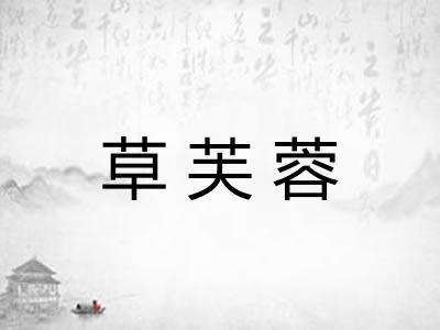 草芙蓉