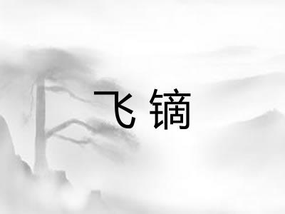 飞镝