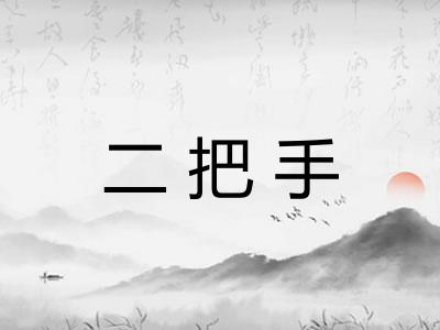 二把手