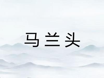 马兰头