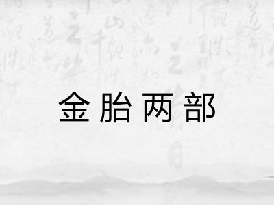 金胎两部