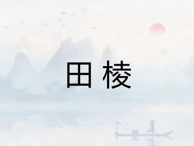 田棱