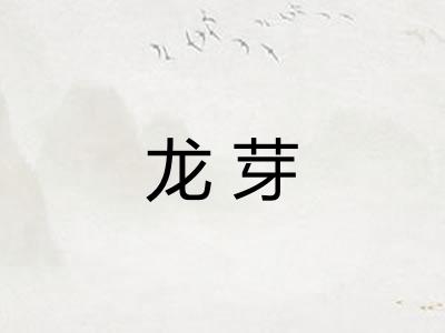 龙芽