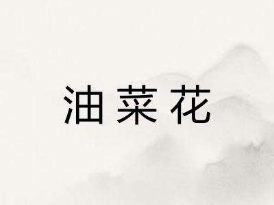 油菜花