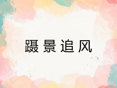 蹑景追风