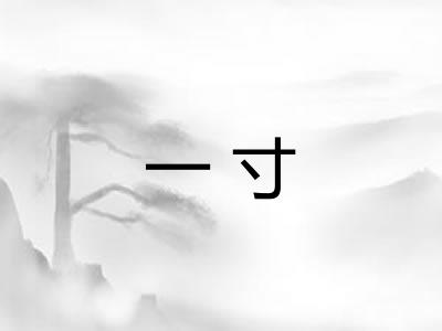 一寸