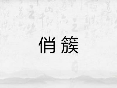 俏簇