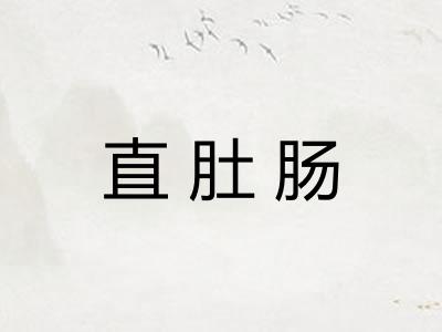 直肚肠