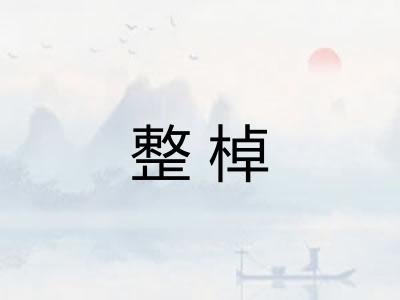 整棹