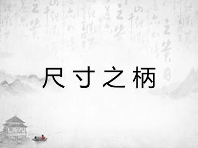 尺寸之柄