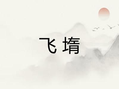 飞堶
