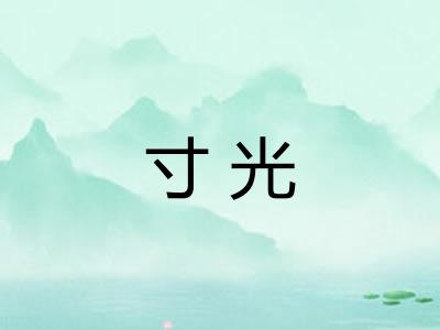 寸光