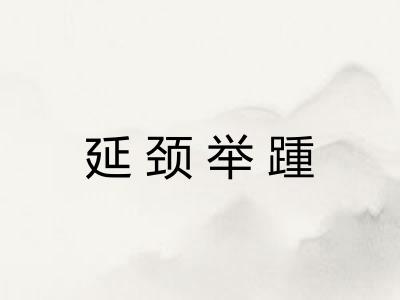 延颈举踵