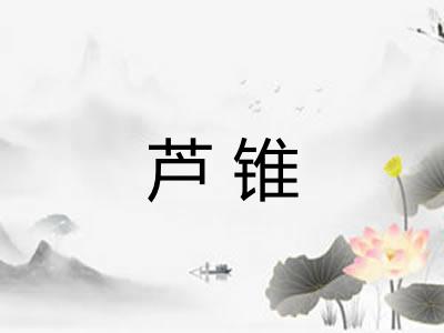 芦锥
