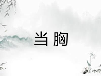 当胸