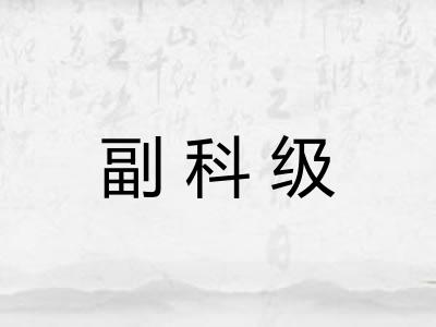 副科级