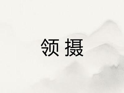 领摄