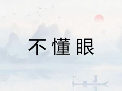 不懂眼