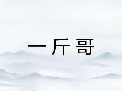 一斤哥