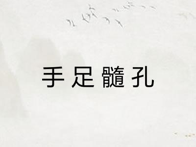 手足髓孔