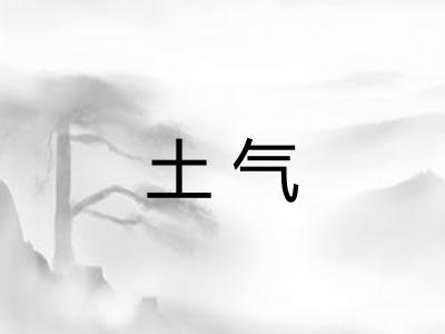土气
