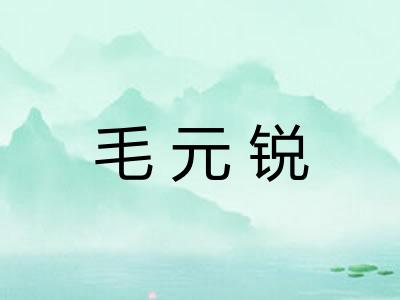 毛元锐