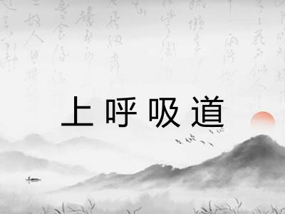 上呼吸道