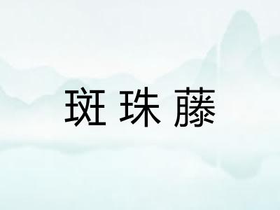斑珠藤