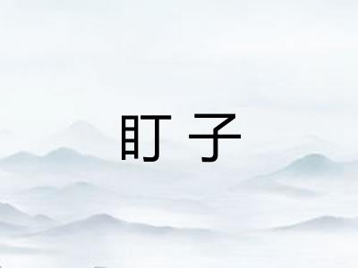盯子