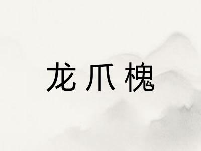 龙爪槐