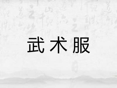武术服