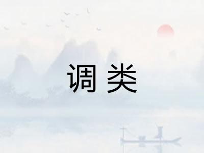 调类