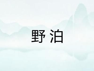 野泊