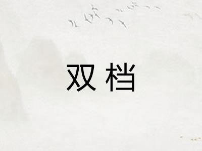 双档