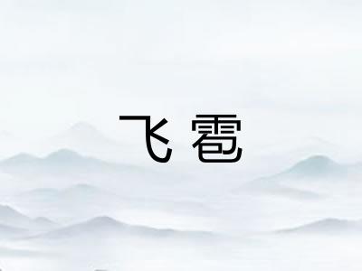 飞雹