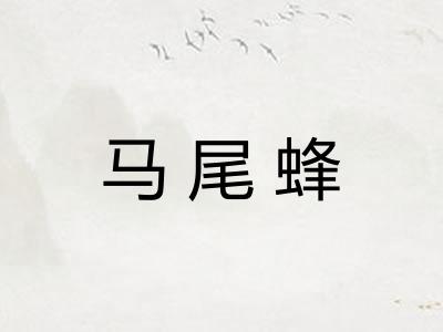 马尾蜂