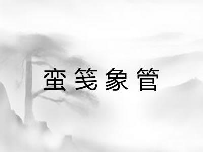 蛮笺象管
