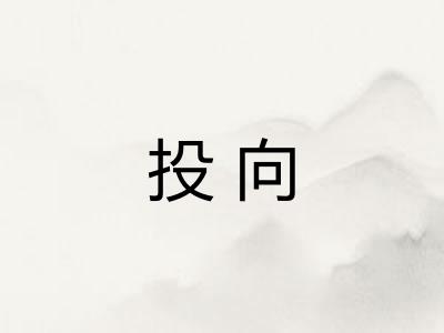 投向