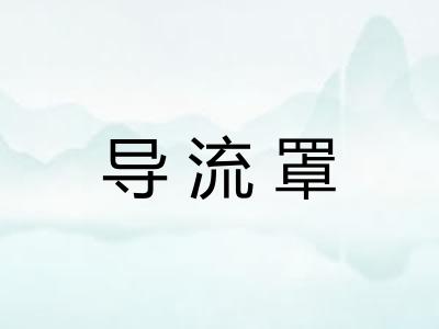 导流罩