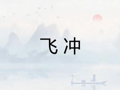 飞冲
