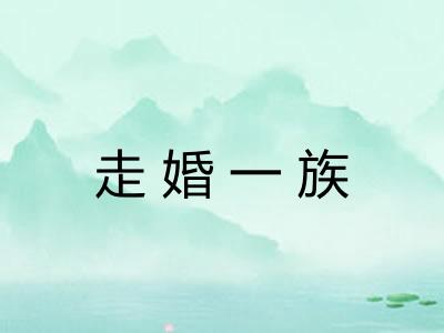 走婚一族