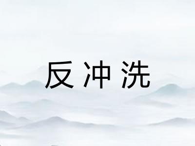 反冲洗
